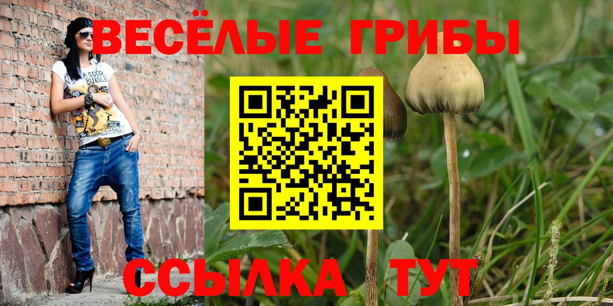 Галлюциногенные грибы прущие грибы Маркс